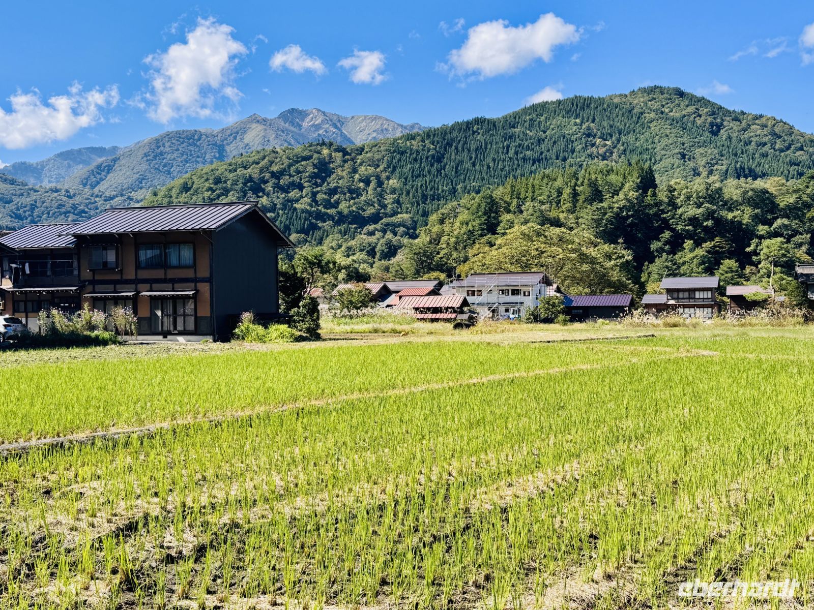 Tag 7 - Reisfeld  &ndash; &copy; Christin Kuschka (Eberhardt TRAVEL)