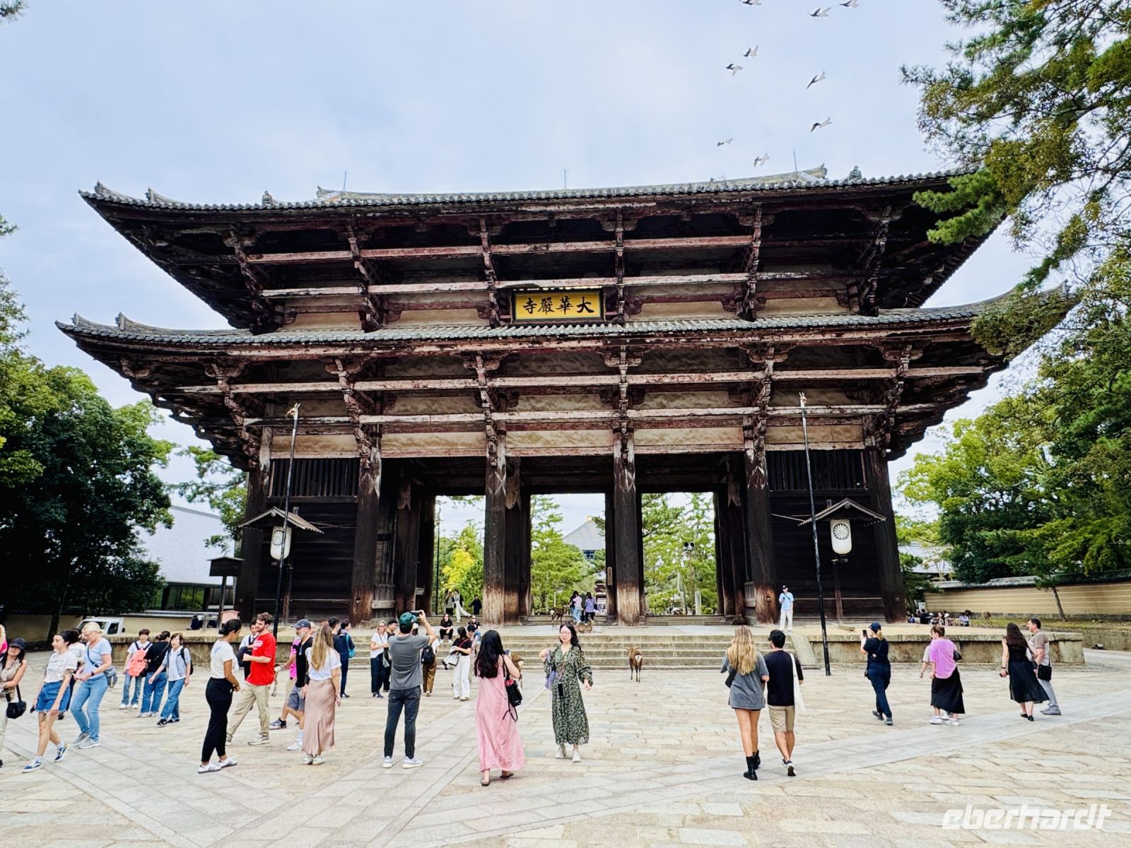 Tag 10 - Todai-ji Namdaimon &ndash; &copy; Christin Kuschka (Eberhardt TRAVEL)