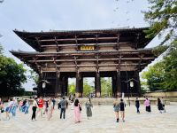 Tag 10 - Todai-ji Namdaimon &ndash; &copy; Christin Kuschka (Eberhardt TRAVEL)