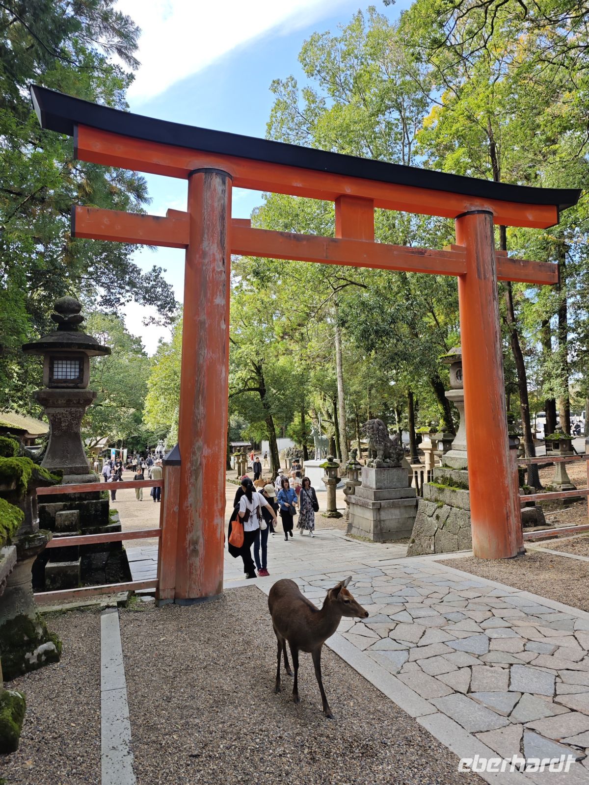 Kasuga-Schrein in Nara &ndash; &copy; Philip Seidel (Eberhardt TRAVEL)