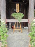 Meiji Schrein Tokio &ndash; &copy; Philip Seidel (Eberhardt TRAVEL)