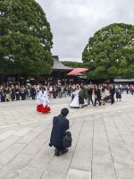 Meiji Schrein Tokio &ndash; &copy; Philip Seidel (Eberhardt TRAVEL)