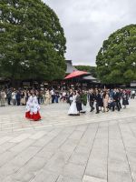 Meiji Schrein Tokio &ndash; &copy; Philip Seidel (Eberhardt TRAVEL)