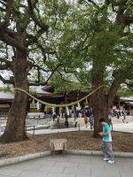 Meiji Schrein Tokio &ndash; &copy; Philip Seidel (Eberhardt TRAVEL)