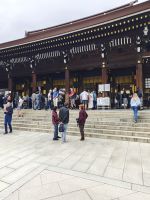 Meiji Schrein Tokio &ndash; &copy; Philip Seidel (Eberhardt TRAVEL)