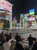 Shibuya Kreuzung &ndash; &copy; Philip Seidel (Eberhardt TRAVEL)
