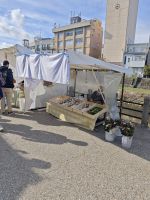 Miyagawa Morgen Markt Takayama &ndash; &copy; Philip Seidel (Eberhardt TRAVEL)