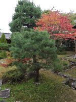 Jinya in Takayama &ndash; &copy; Philip Seidel (Eberhardt TRAVEL)