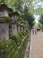 Kasuga-Schrein in Nara &ndash; &copy; Philip Seidel (Eberhardt TRAVEL)