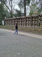 Am Meiji-Schrein in Tokio &ndash; &copy; Sylvia Sann (Eberhardt TRAVEL)