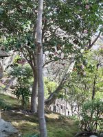 1000030002.jpg &ndash; &copy; Sylvia Sann (Eberhardt TRAVEL)