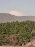 Gondelauffahrt über das Owakudani-Tal &ndash; &copy; Sylvia Sann (Eberhardt TRAVEL)