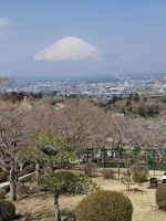 Fuji san &ndash; &copy; Sylvia Sann (Eberhardt TRAVEL)
