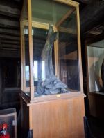 Burganlage Matsumoto &ndash; &copy; Sylvia Sann (Eberhardt TRAVEL)