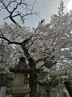 in Nara &ndash; &copy; Sylvia Sann (Eberhardt TRAVEL)