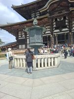 Ausflug nach Nara &ndash; &copy; Sylvia Sann (Eberhardt TRAVEL)