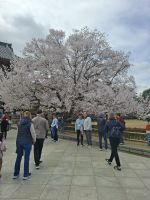 Ausflug nach Nara &ndash; &copy; Sylvia Sann (Eberhardt TRAVEL)