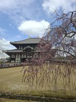 Ausflug nach Nara &ndash; &copy; Sylvia Sann (Eberhardt TRAVEL)