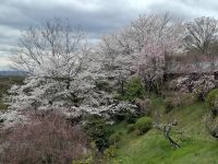 Ausflug nach Nara &ndash; &copy; Sylvia Sann (Eberhardt TRAVEL)