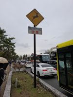 in Nara &ndash; &copy; Sylvia Sann (Eberhardt TRAVEL)