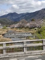in Kyoto unterwegs