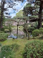 Heian-Schrein in Kyoto &ndash; &copy; Sylvia Sann (Eberhardt TRAVEL)