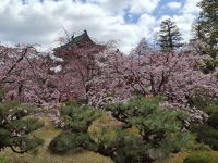 Heian-Schrein in Kyoto &ndash; &copy; Sylvia Sann (Eberhardt TRAVEL)