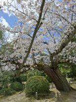 Heian-Schrein in Kyoto &ndash; &copy; Sylvia Sann (Eberhardt TRAVEL)