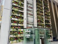 3. Tag: Erkundung von Tokio – Ginza – Blumendeko &ndash; &copy; Andreas Wolfsteller (Eberhardt TRAVEL)