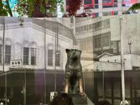 3. Tag: Erkundung von Tokio – Shibuya – Hachiko-Statue &ndash; &copy; Andreas Wolfsteller (Eberhardt TRAVEL)