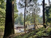 4. Tag: Ausflug nach Nikko – Tosho-gu-Schrein &ndash; &copy; Andreas Wolfsteller (Eberhardt TRAVEL)