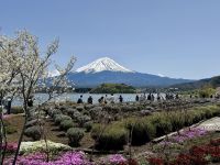 6. Tag: Erkundungen um den Fuji-san – Blick auf den Fuji vom Oishi-Park &ndash; &copy; Andreas Wolfsteller (Eberhardt TRAVEL)