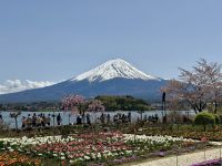 6. Tag: Erkundungen um den Fuji-san – Blick auf den Fuji vom Oishi-Park &ndash; &copy; Andreas Wolfsteller (Eberhardt TRAVEL)