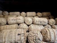 7. Tag: Impressionen aus Takayama – Jinya-Museum – Reisballen &ndash; &copy; Andreas Wolfsteller (Eberhardt TRAVEL)