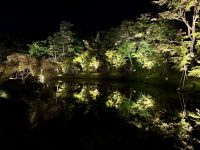 10. Tag: Erkundung von Kyoto – Lichtershow am Kodai-ji-Tempel &ndash; &copy; Andreas Wolfsteller (Eberhardt TRAVEL)