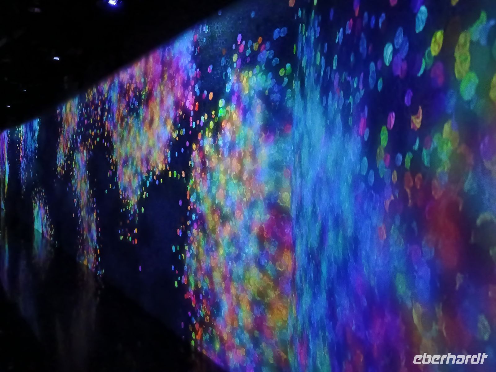 TeamLab Borderless  &ndash; &copy; Johanna König (Eberhardt TRAVEL)