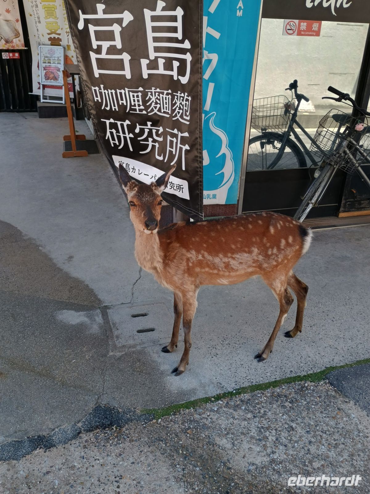 Insel Miyajima &ndash; &copy; Johanna König (Eberhardt TRAVEL)