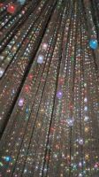 TeamLab Borderless