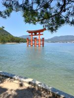Insel Miyajima &ndash; &copy; Johanna König (Eberhardt TRAVEL)