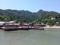Insel Miyajima &ndash; &copy; Johanna König (Eberhardt TRAVEL)