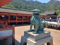 Insel Miyajima &ndash; &copy; Johanna König (Eberhardt TRAVEL)