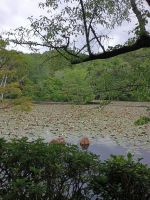Kyoto &ndash; &copy; Johanna König (Eberhardt TRAVEL)