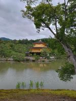 Kyoto &ndash; &copy; Johanna König (Eberhardt TRAVEL)