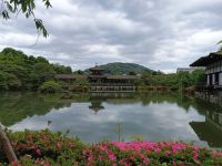Kyoto &ndash; &copy; Johanna König (Eberhardt TRAVEL)