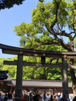 Meiji Schrein &ndash; &copy; Beate Klingebiel (Eberhardt TRAVEL)
