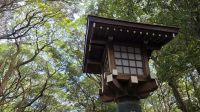 016 – Tokio, Meiji-Schrein &ndash; &copy; Vivien Fiedler (Eberhardt TRAVEL)