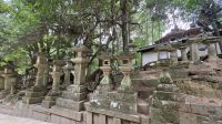 327 – Nara, Kasuga-Schrein &ndash; &copy; Vivien Fiedler (Eberhardt TRAVEL)