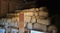 158 – Takayama, Alter Provinzverwaltung &ndash; &copy; Vivien Fiedler (Eberhardt TRAVEL)
