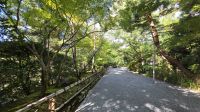 221 – Kyoto, Ryoanji &ndash; &copy; Vivien Fiedler (Eberhardt TRAVEL)