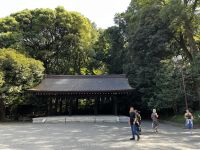 Meji-Schrein &ndash; &copy; Martin Gruhle (Eberhardt TRAVEL)
